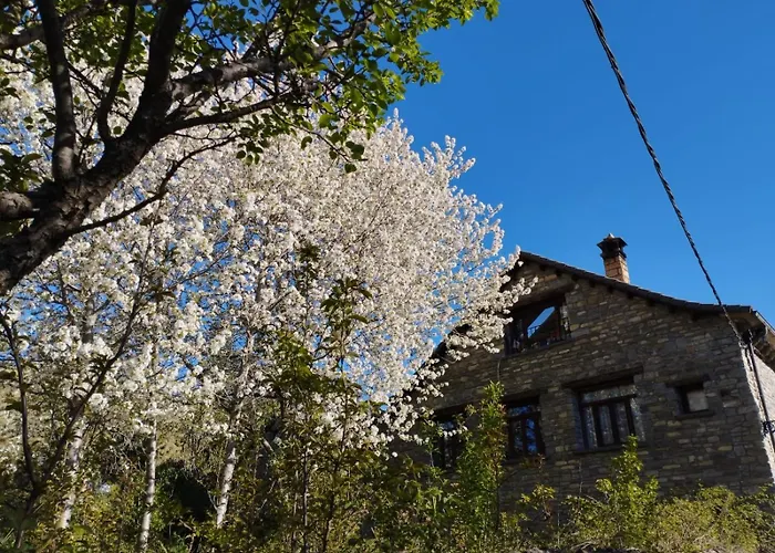 Cimas Con Historia *